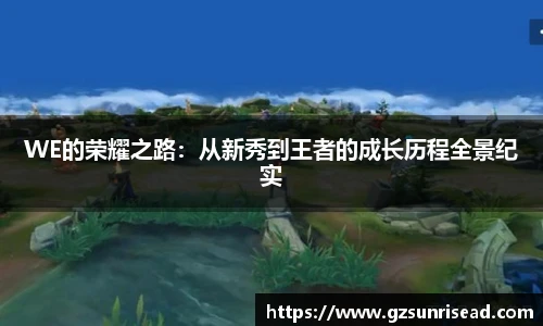 WE的荣耀之路：从新秀到王者的成长历程全景纪实