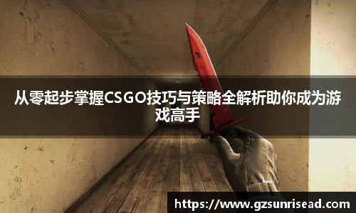 从零起步掌握CSGO技巧与策略全解析助你成为游戏高手
